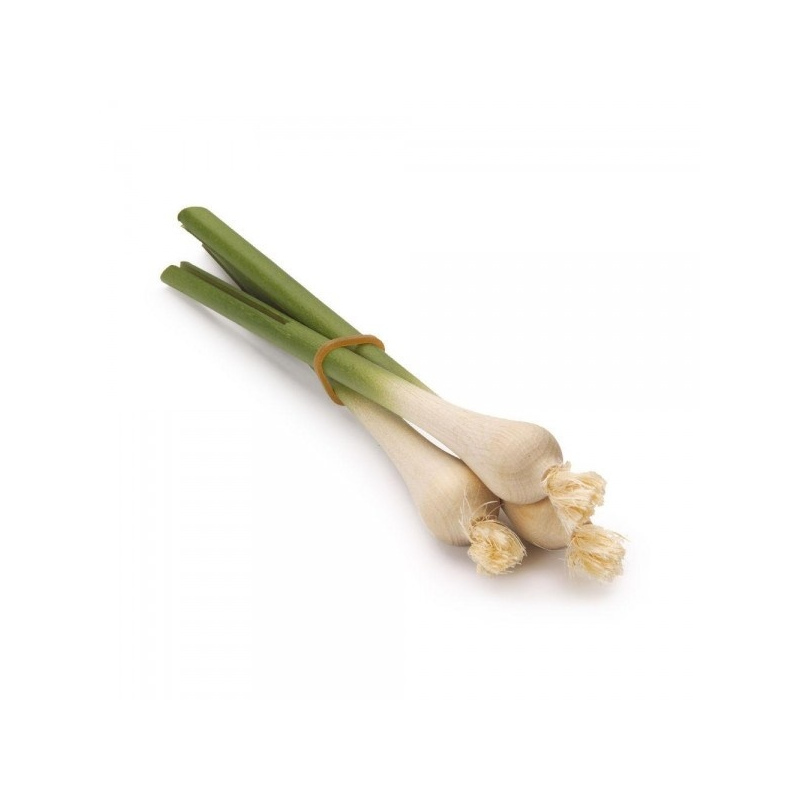 ERZI Zielona cebulka - pęczek 3szt.