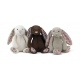 JELLYCAT Kremowy króliczek Blossom Bunny (mały 18 cm)